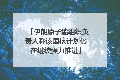 伊朗原子能组织负责人称该国核计划仍在继续强力推进