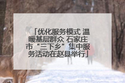 优化服务模式 温暖基层群众 石家庄市“三下乡”集中服务活动在赵县举行