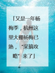 又是一年杨梅季，杭州这里大棚杨梅已熟，“采摘攻略”来了