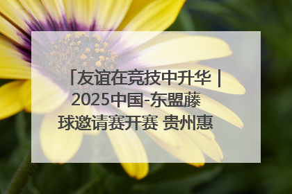 友谊在竞技中升华｜2025中国-东盟藤球邀请赛开赛 贵州惠水燃动“空中芭蕾”