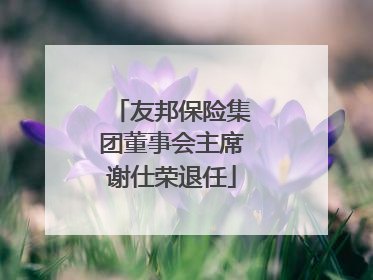 友邦保险集团董事会主席谢仕荣退任