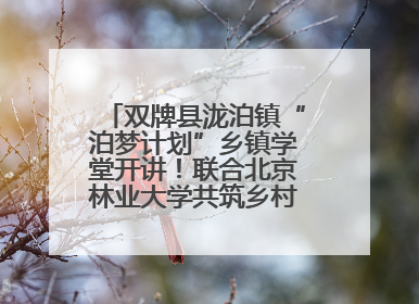 双牌县泷泊镇“泊梦计划”乡镇学堂开讲！联合北京林业大学共筑乡村教育新未来