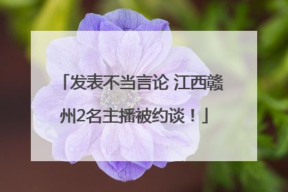发表不当言论 江西赣州2名主播被约谈！