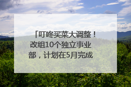 叮咚买菜大调整！改组10个独立事业部，计划在5月完成App端全面改版