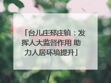 台儿庄邳庄镇：发挥人大监督作用 助力人居环境提升