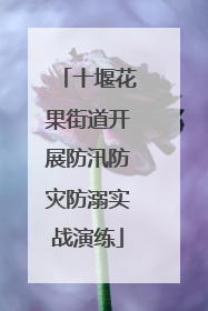 十堰花果街道开展防汛防灾防溺实战演练