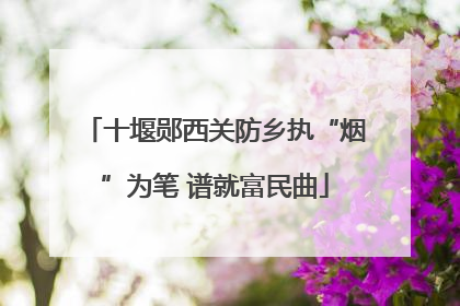 十堰郧西关防乡执“烟”为笔 谱就富民曲