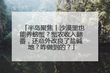 半岛聚焦丨沙漠里也能养螃蟹？蟹农收入翻番，还意外改良了盐碱地？咋做到的？