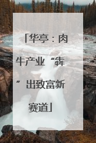 华亭：肉牛产业“犇”出致富新赛道