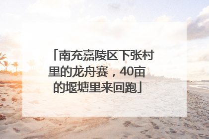 南充嘉陵区下张村里的龙舟赛，40亩的堰塘里来回跑
