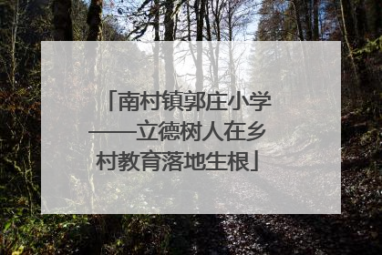南村镇郭庄小学——立德树人在乡村教育落地生根