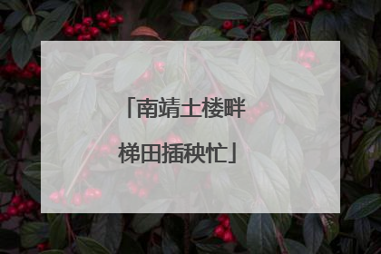 南靖土楼畔 梯田插秧忙