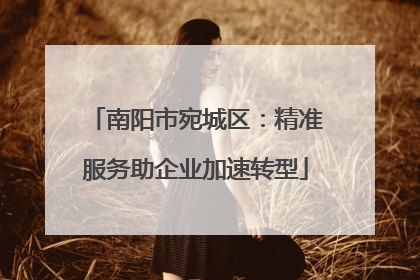 南阳市宛城区：精准服务助企业加速转型