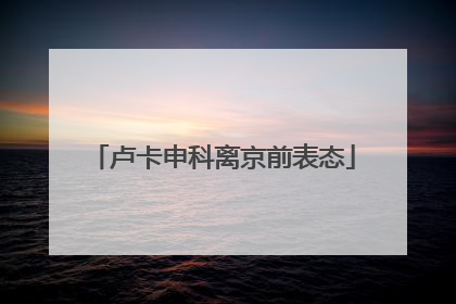 卢卡申科离京前表态