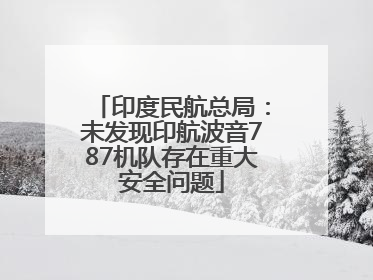 印度民航总局：未发现印航波音787机队存在重大安全问题
