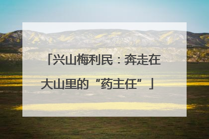 兴山梅利民：奔走在大山里的“药主任”
