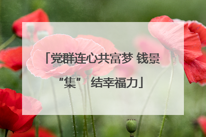 党群连心共富梦 钱景 “集” 结幸福力