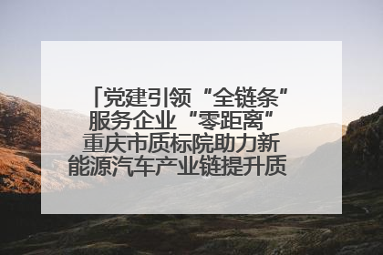 党建引领“全链条” 服务企业“零距离” 重庆市质标院助力新能源汽车产业链提升质量管理水平