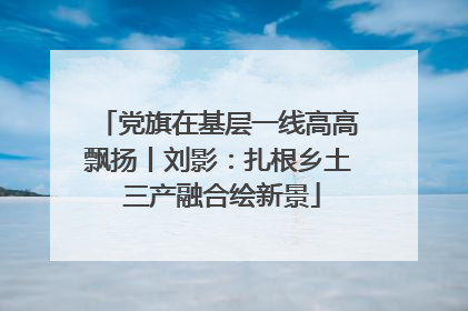 党旗在基层一线高高飘扬丨刘影：扎根乡土 三产融合绘新景
