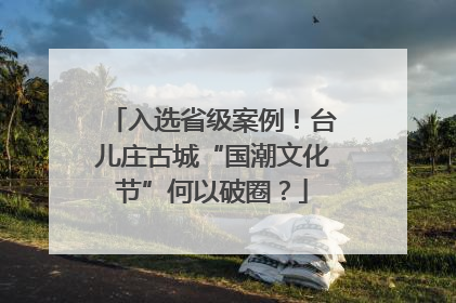 入选省级案例！台儿庄古城“国潮文化节”何以破圈？