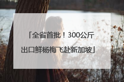 全省首批！300公斤出口鲜杨梅飞赴新加坡