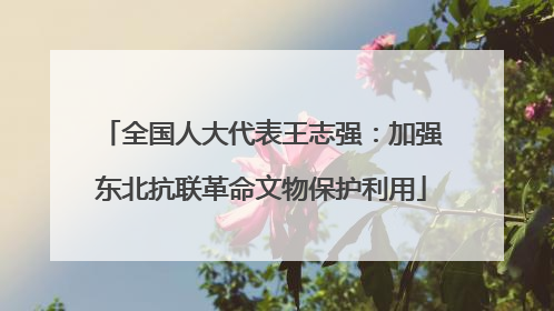 全国人大代表王志强：加强东北抗联革命文物保护利用