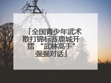 全国青少年武术散打锦标赛鹿城开擂 “武林高手”强强对话
