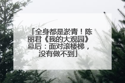 全身都是淤青！陈丽君《我的大观园》幕后：面对滚楼梯，没有做不到