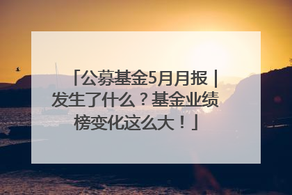 公募基金5月月报｜发生了什么？基金业绩榜变化这么大！