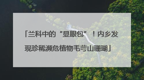 兰科中的“显眼包”！内乡发现珍稀濒危植物毛萼山珊瑚