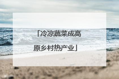 冷凉蔬菜成高原乡村热产业