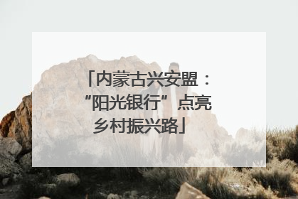 内蒙古兴安盟：“阳光银行”点亮乡村振兴路
