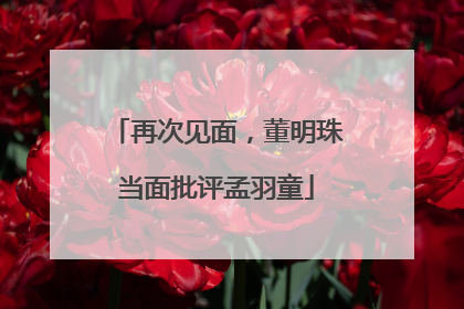 再次见面，董明珠当面批评孟羽童