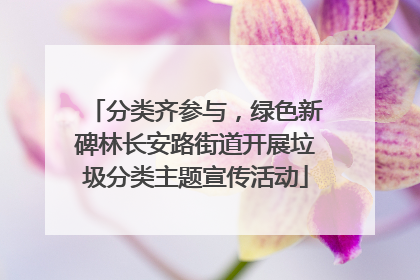分类齐参与，绿色新碑林长安路街道开展垃圾分类主题宣传活动