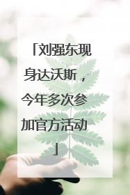 刘强东现身达沃斯，今年多次参加官方活动