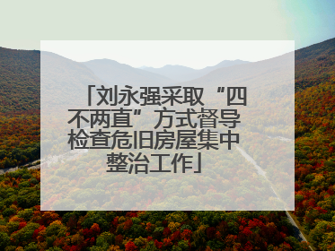 刘永强采取“四不两直”方式督导检查危旧房屋集中整治工作