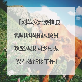 刘革安赴桑植县调研巩固拓展脱贫攻坚成果同乡村振兴有效衔接工作