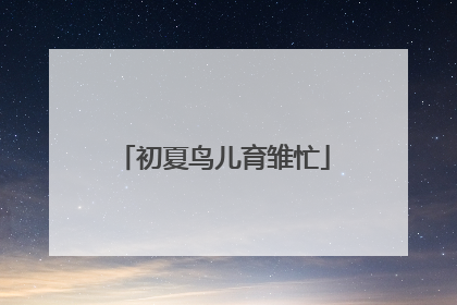 初夏鸟儿育雏忙