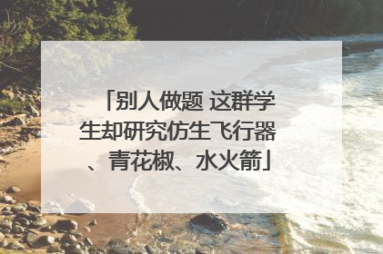 别人做题 这群学生却研究仿生飞行器、青花椒、水火箭