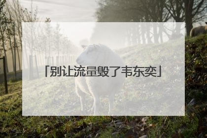 别让流量毁了韦东奕