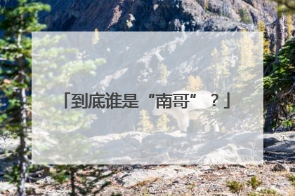到底谁是“南哥”？