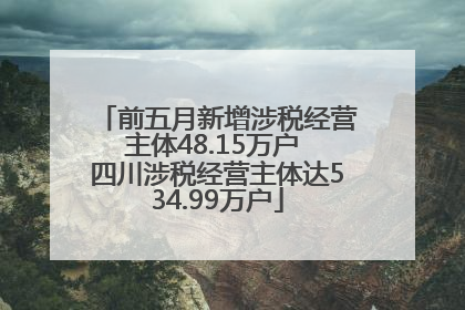 前五月新增涉税经营主体48.15万户 四川涉税经营主体达534.99万户