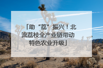 助“荔”振兴！北流荔枝全产业链带动特色农业升级