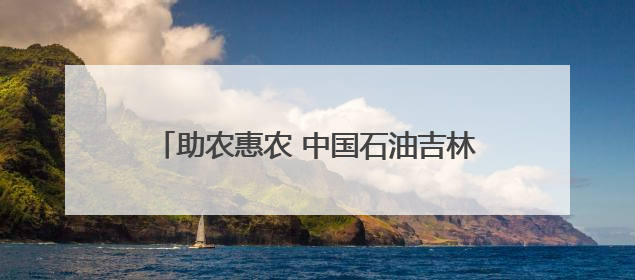助农惠农 中国石油吉林销售公司助力乡村振兴