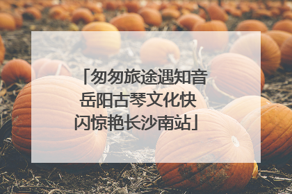 匆匆旅途遇知音 岳阳古琴文化快闪惊艳长沙南站