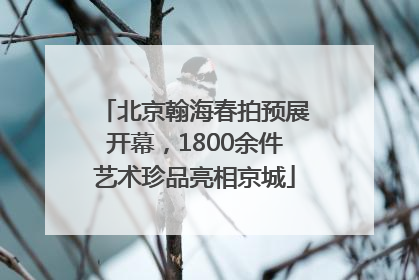 北京翰海春拍预展开幕，1800余件艺术珍品亮相京城