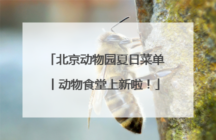 北京动物园夏日菜单丨动物食堂上新啦！