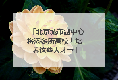 北京城市副中心将添多所高校！培养这些人才→