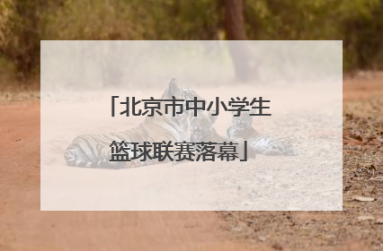 北京市中小学生篮球联赛落幕