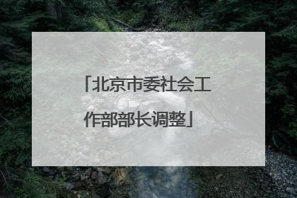 北京市委社会工作部部长调整